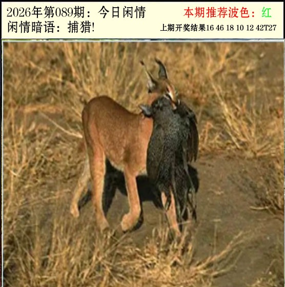 089期今日闲情2[图]