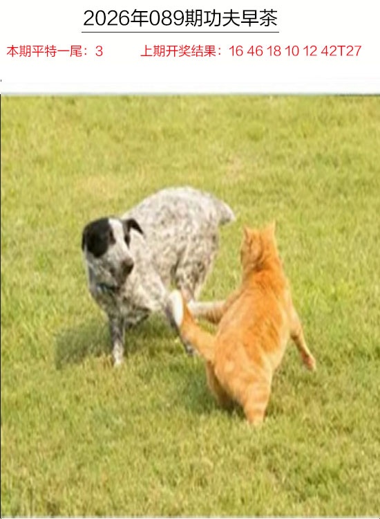 089期功夫早茶[图]